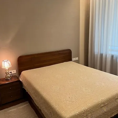 101 Large Space * Kaunas